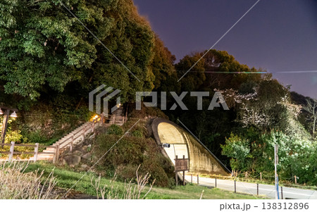 トンネル 桜 夜景 遊歩道 山道 日本 春 夜桜 公園風景 日本の風景 自然風景 138312896