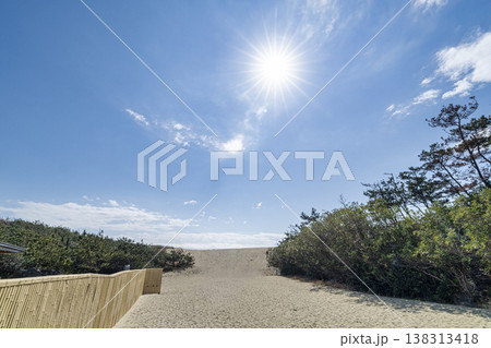静岡　浜岡砂丘 138313418