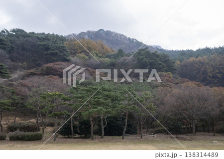 Saejae Bicycle Path Saejae Bicycle Path 138314489