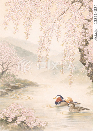 桜の花と鴨のつがい 138314824