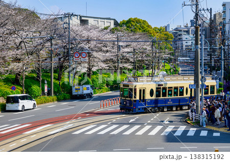 東京さくらトラム さくら号( 9002号車)と飛鳥山公園満開の桜 季節限定運行 東京さくらトラム さくら号( 9002号車)と飛鳥山公園満開の桜 季節限定運行 138315192