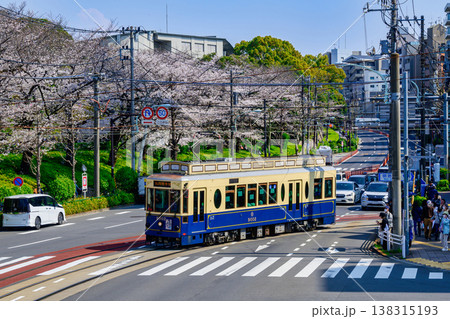 東京さくらトラム さくら号( 9002号)と飛鳥山公園満開の桜 季節限定運行 東京さくらトラム さくら号( 9002号)と飛鳥山公園満開の桜 季節限定運行 138315193