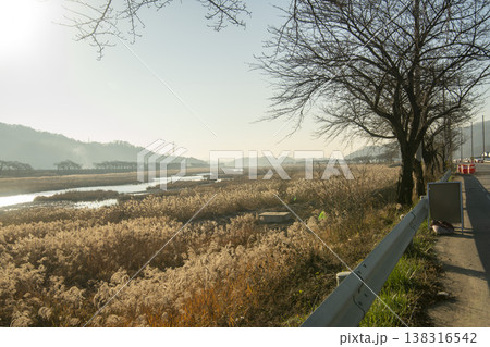 Saejae Bicycle Path 138316542
