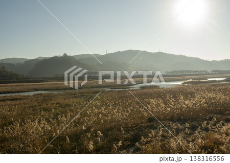 Saejae Bicycle Path Saejae Bicycle Path 138316556