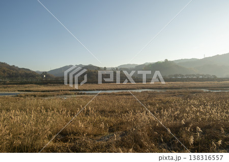 Saejae Bicycle Path 138316557
