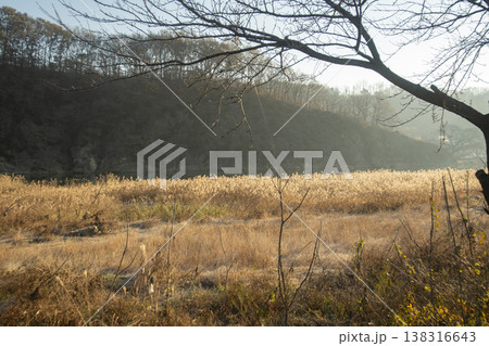 Saejae Bicycle Path 138316643