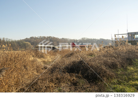 Saejae Bicycle Path 138316929