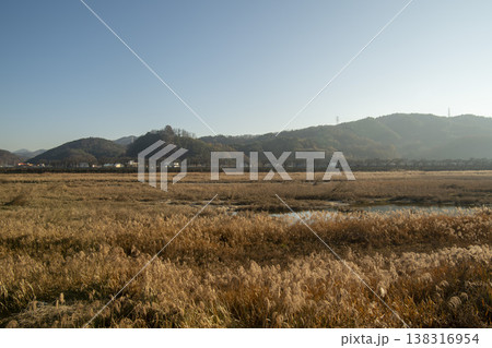 Saejae Bicycle Path Saejae Bicycle Path 138316954