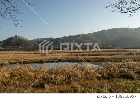 Saejae Bicycle Path 138316957