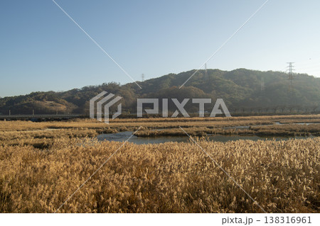 Saejae Bicycle Path 138316961