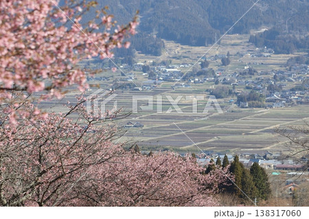 山里を背景にした満開の桜 138317060