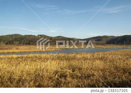Saejae Bicycle Path 138317105