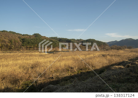 Saejae Bicycle Path 138317124