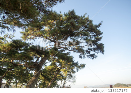 Saejae Bicycle Path Saejae Bicycle Path 138317175