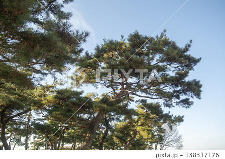 Saejae Bicycle Path Saejae Bicycle Path 138317176