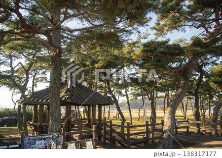 Saejae Bicycle Path Saejae Bicycle Path 138317177