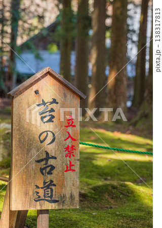 【光前寺】苔の古道【駒ヶ根市】 【光前寺】苔の古道【駒ヶ根市】 138317813