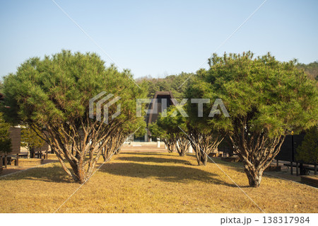 Nakdong River Bicycle Path 138317984