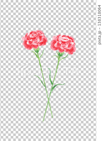 Carnations, red and pink, set of different colors, watercolor style, cute, stylized, perfect for Mother's Day, appreciation, celebrations, or illustrations. 138318064