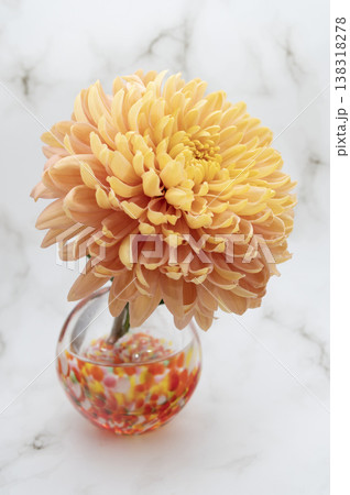 暖色の硝子一輪挿しに挿したディスバッドマム（縦構図右向き） 138318278