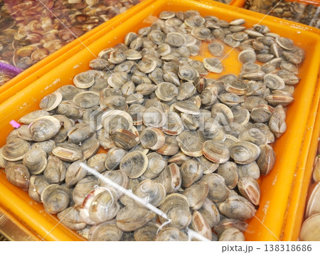 貝 貝殻 殻 138318686