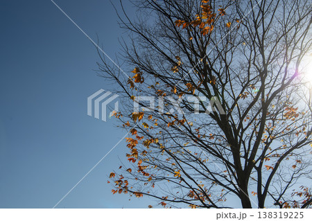 Nakdong River Bicycle Path Nakdong River Bicycle Path 138319225
