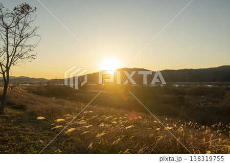 Nakdong River Bicycle Path Nakdong River Bicycle Path 138319755