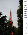 木々の間から見える東京タワー 138319846