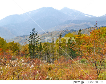 乗鞍岳をバックにした乗鞍高原の紅葉 138320193