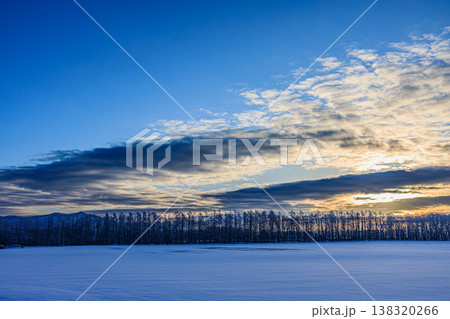 青空と雲に包まれた広大な雪原の冬景色 北海道の自然 青空と雲に包まれた広大な雪原の冬景色 北海道の自然 138320266