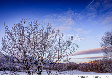 冬の北海道 霧氷の木々と柔らかな朝の光の風景 138320268