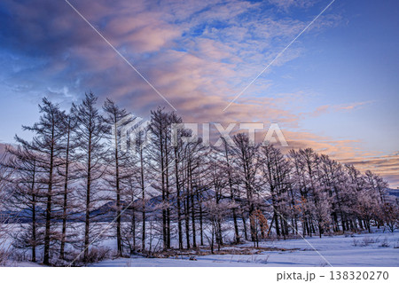 霧氷に覆われた木々と朝焼けの空が広がる冬景色 138320270