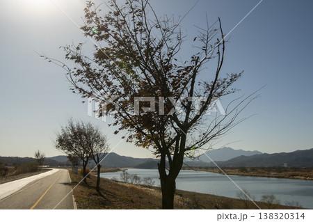 Nakdong River Bicycle Path 138320314