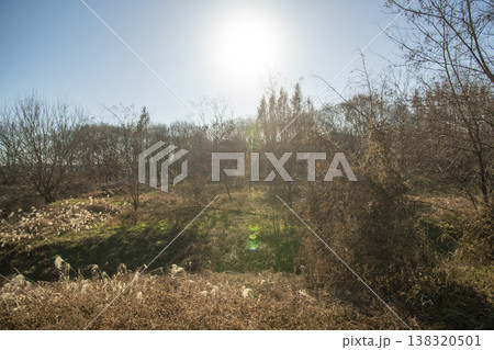 Nakdong River Bicycle Path Nakdong River Bicycle Path 138320501