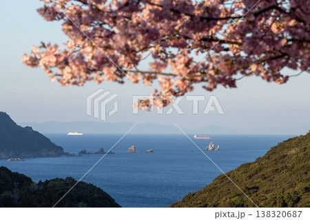 桜越しに望む春の海と岩礁の風景 桜越しに望む春の海と岩礁の風景 138320687