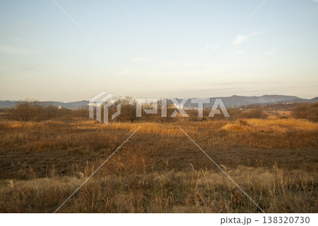 Nakdong River Bicycle Path 138320730