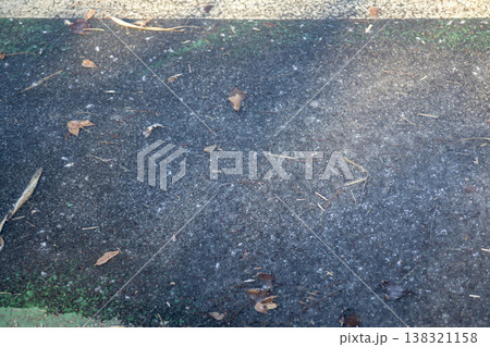 Nakdong River Bicycle Path 138321158