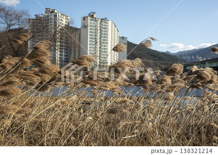 Nakdong River Bicycle Path 138321214