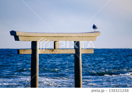 海に浮かぶ鳥居と小鳥 海に浮かぶ鳥居と小鳥 138321288