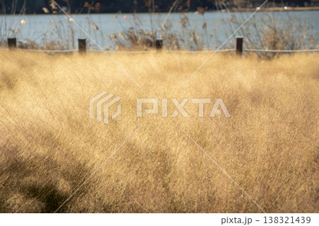 Nakdong River Bicycle Path Nakdong River Bicycle Path 138321439