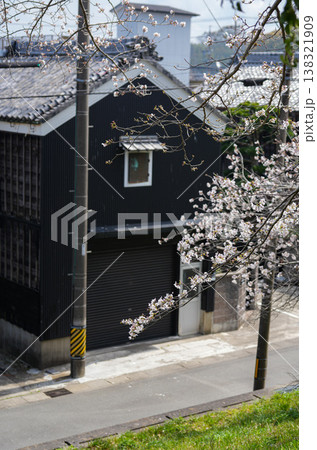 桜　伊勢市　宮川堤 138321909