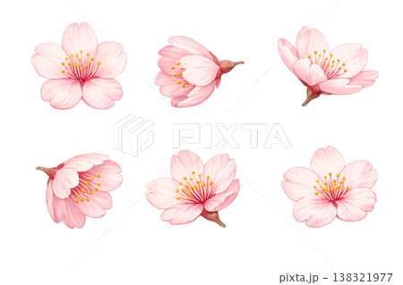 水彩で描いた桜のイラスト 138321977