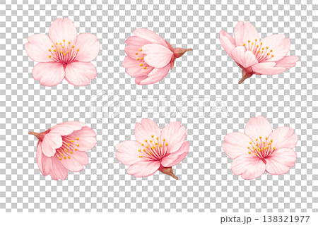 水彩で描いた桜のイラスト 138321977
