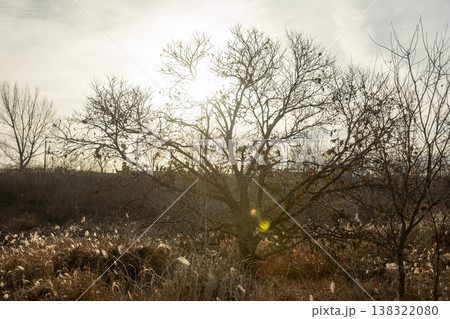 Nakdong River Bicycle Path Nakdong River Bicycle Path 138322080