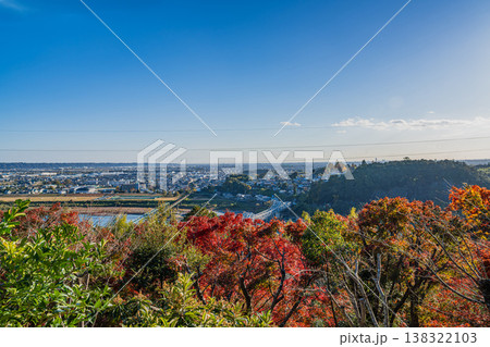 浜松市の紅葉と街並み(静岡県) 138322103
