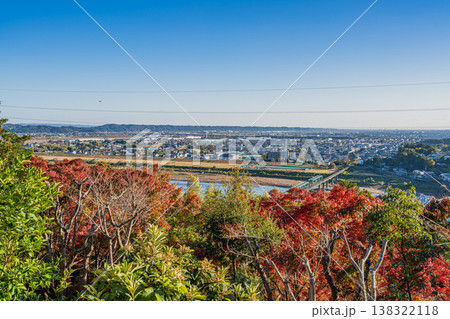 浜松市の紅葉と街並み(静岡県) 138322118