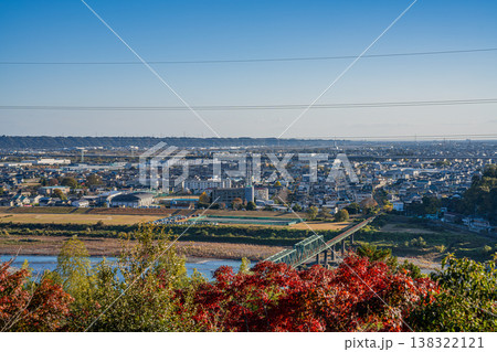 浜松市の紅葉と街並み(静岡県) 138322121