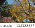 紅葉した銀杏 138322227