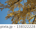 紅葉した銀杏 138322228