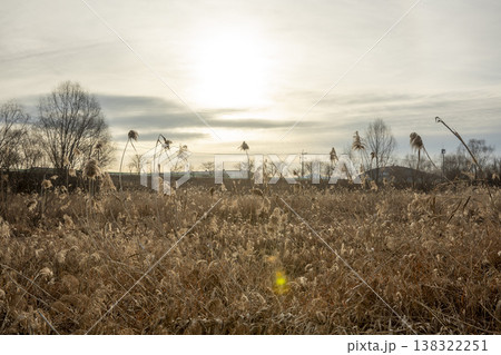 Nakdong River Bicycle Path 138322251
